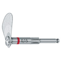Fogszabályzás, Orthodontia