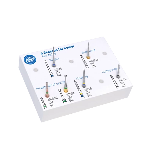 6 Reasons for Komet 4624B